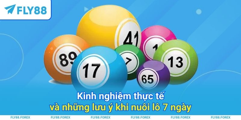 Kinh nghiệm thực tế và những lưu ý khi nuôi lô 7 ngày