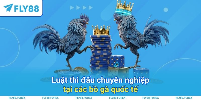 Luật thi đấu chuyên nghiệp tại các bồ gà quốc tế